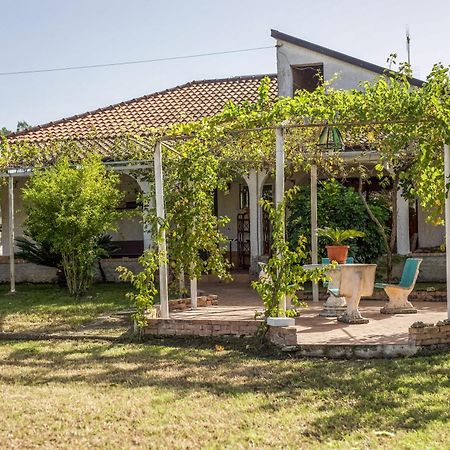 Villa Oidor - Cilento Ascea Exteriér fotografie